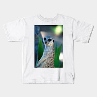 Hello I'm A Meerkat Kids T-Shirt